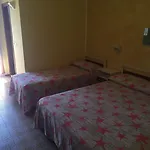 Wega Hotel 3*