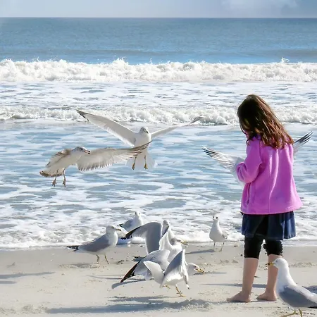 Hotel Wega Bellaria-Igea Marina