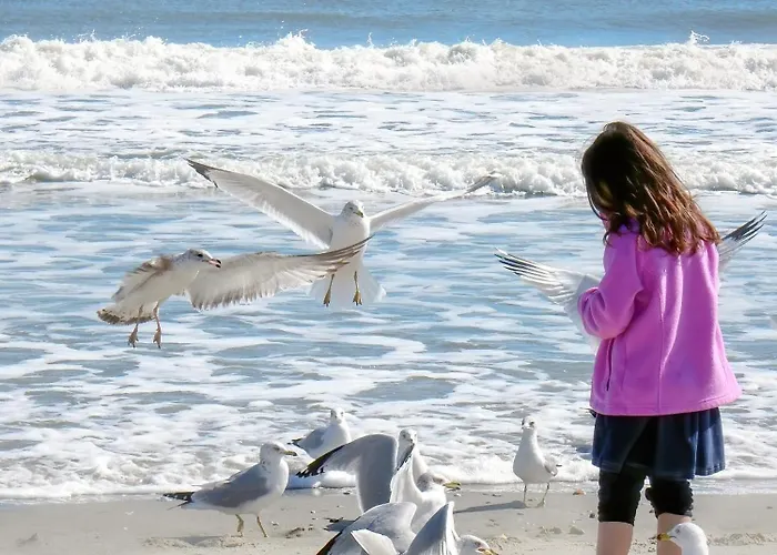 Hotel Wega Bellaria-Igea Marina